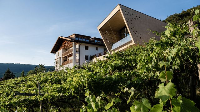 Weinverkostung bei Franz Gojer - Glögglhof