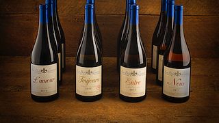 Degustação de vinhos em La Belle Alliance