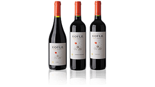 Degustazione e tour alla scoperta di Viña Koyle