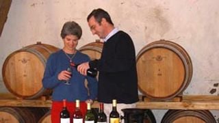 Degustação de vinhos premium em Cointes