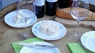 EXPLORA LOS VINOS DEL VALLE DE MUGGIO