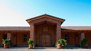 Wine Tasting and Tour at De Martino Winery