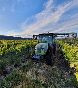 Vinprovning och rundtur på Domaine Thomson Wines
