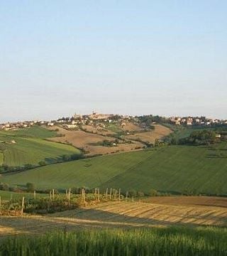 Premium-Weinprobe im Tenuta San Marcello