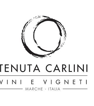 Taste Marche Wines Near Italy’s Adriatic Coast