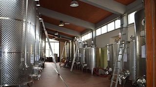 Dégustation de 4 vins et 2 huiles d'olive extra vierges + visite de la cave du Chianti Terre Di Perseto