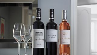 Degustação de vinhos e passeios no Château de la Dauphine
