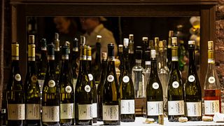 Degustação de vinhos e tour na vinícola Varsádi e pousada Somló