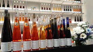 Southern Finland Fruit Wine & Cheese Pairing at Ainoa
