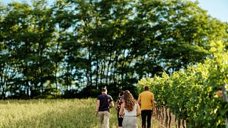 Caminhada na vinícola em Weingut Neustifter
