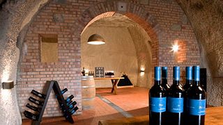 Cata de vinos y visita guiada a Terra dei Re