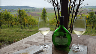 Degustazione di vini e visita alla Weingut Meier Schmidt