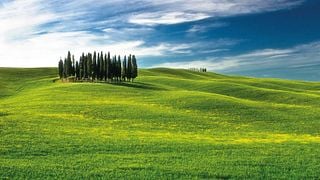 Val d'Orcia Original Wine Tour från Florens