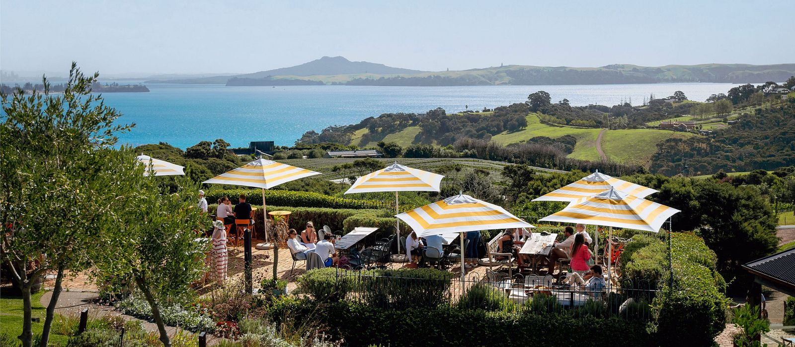 Copy-of-Mudbrick Waiheke24 RBPHOTO395copy-scaled