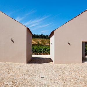 Experience the Charm of Quinta do Porto Nogueira