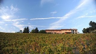 Dosio Vigneti