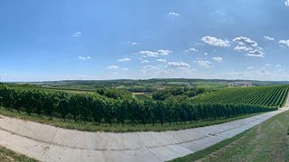 Szeleshát Estate Winery