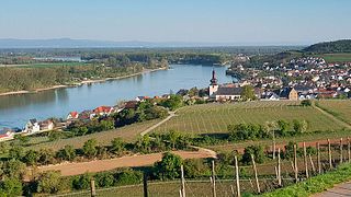 Degustação de vinhos e tour na WE Frank Wines