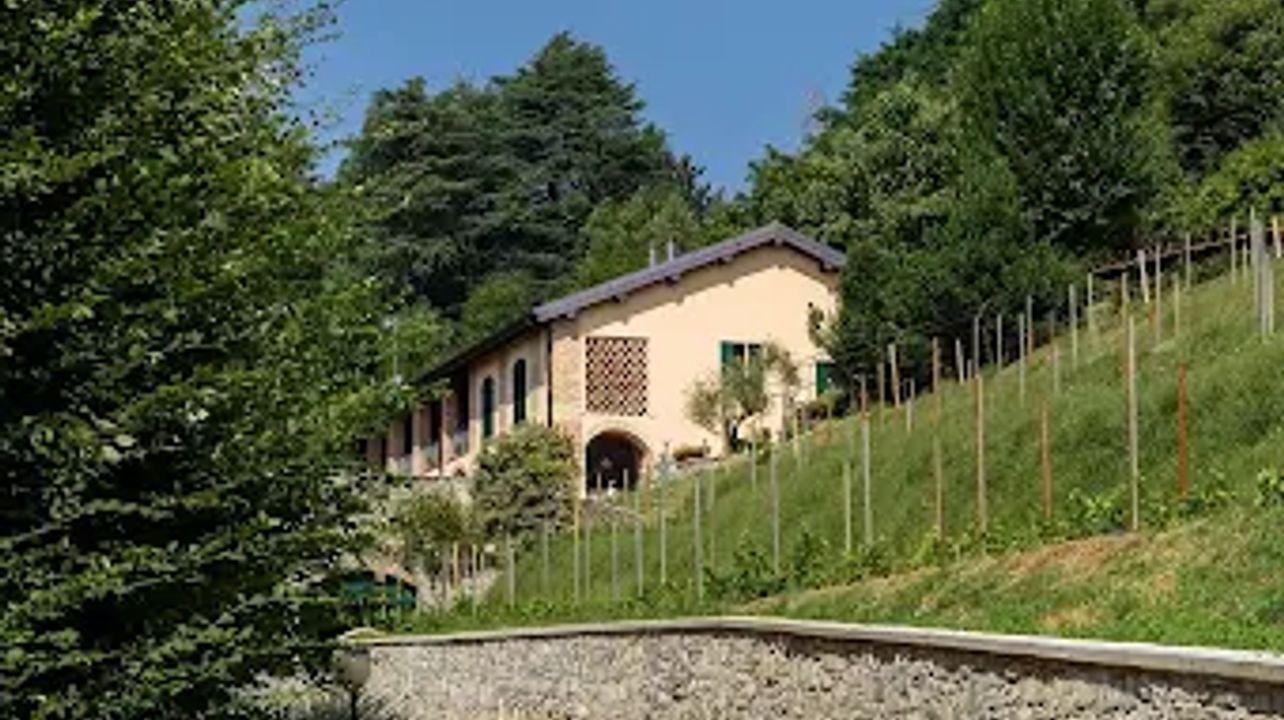 Italian-Swiss Wine & Bike Tour