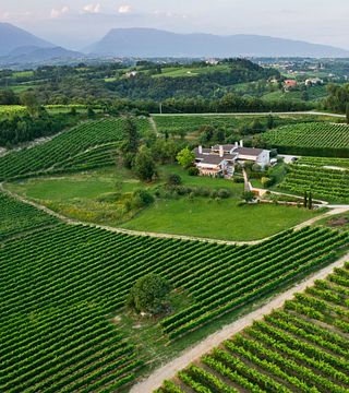 Degustazione e visita a Valdellovo