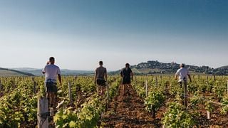 Degustazione di vini e tour al Domaine Pierre Riffault