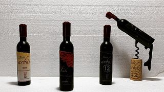 Dégustation de vins "Rond De Jambe" chez Bodegas Arbas