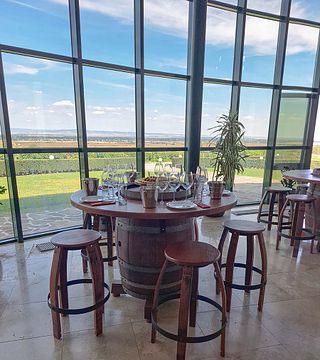 Dégustation de vins et visite du domaine viticole Zagreus Winery