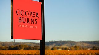 Degustazione di vini presso Cooper Burns Wines