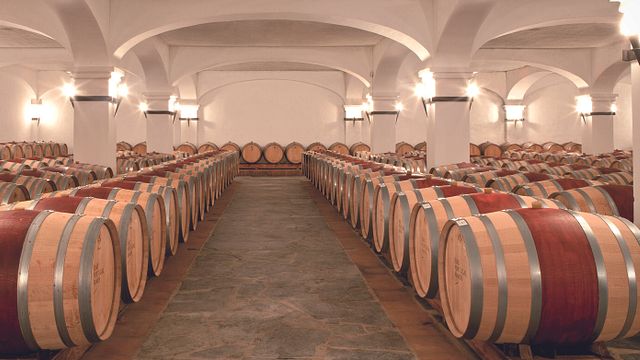 Dégustation de vins haut de gamme et visite à João Portugal Ramos