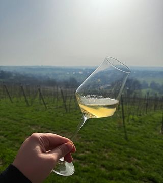 Vin du Pays de Herve