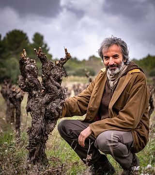 Degustazione di vini e tour della cantina allo Château Pech d'André