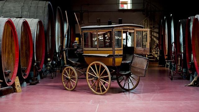 Degustação de vinhos e tour em Giacobazzi