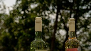Engelhard´s WeinZeit -Picknick