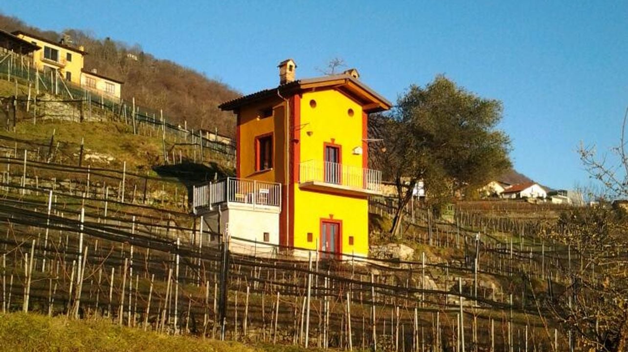 EXPLORE MUGGIO VALLEY WINE