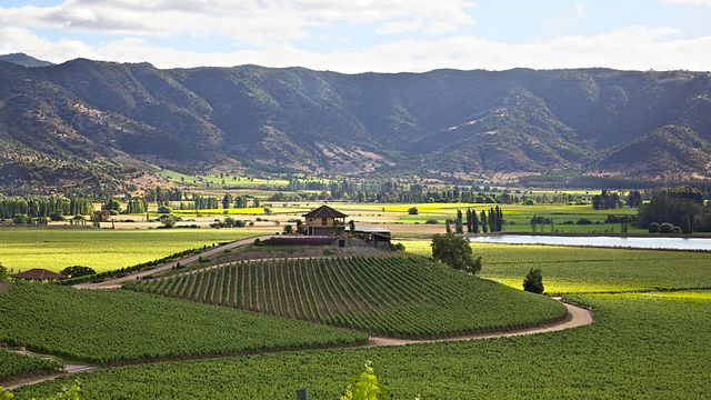 Central Valley Wine & Culture Cable Car Tour