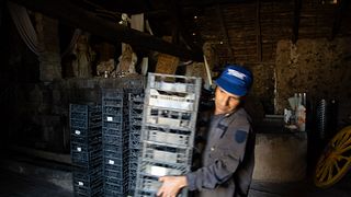 Verkostung von Ätna-Weinen direkt aus der Schachtel | Podere Dell'Etna Segreta