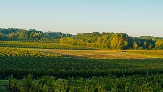 Weinprobe im Château L'Eperon