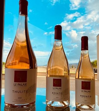 Cata clásica de vinos en la bodega Le Palaie