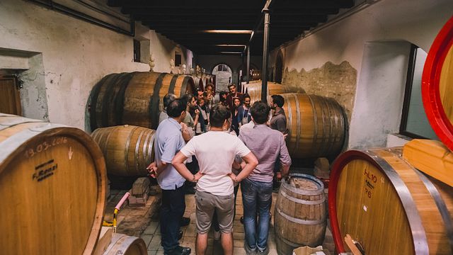 Visites et dégustations au domaine Moroder