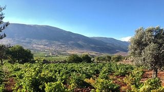 Coteaux Du Liban