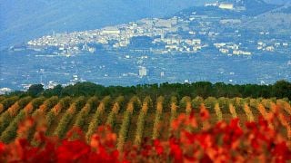 Tour esclusivo di Cortona da Firenze: la terra del Syrah toscano.