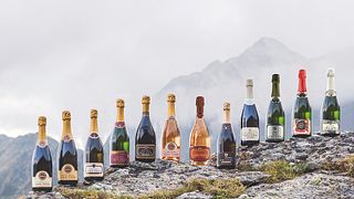 Degustação de vinhos e passeio em Arunda