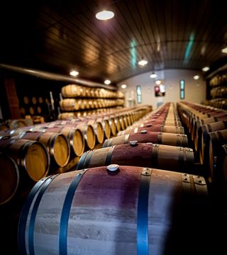 Bordeaux Grand Cru: Vineyard to Cellar Tasting at Boyd-Cantenac