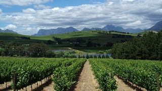 Degustazione di vini e tour a Clos Malverne