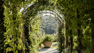 Tenuta I Collazzi