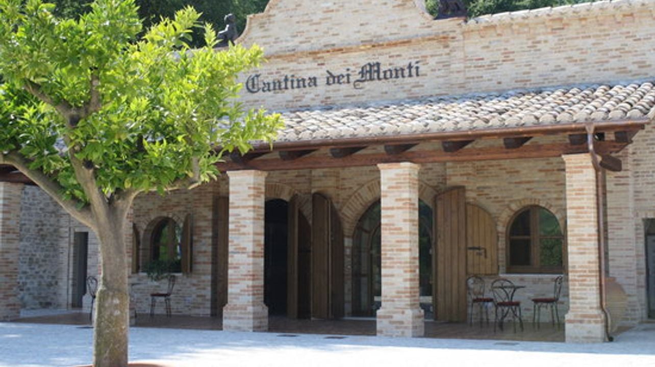 Visita y cata de vinos en la Cantina dei Monti
