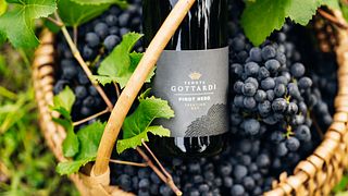 Dégustation Premium - visite du vignoble et dégustation de vins et produits typiques