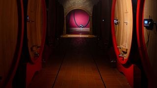 Cantine Giacomo Montresor