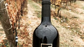 Degustação de vinhos e tour na Fattoria Gaglierano