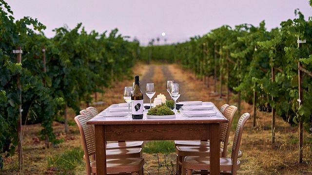 Aegean Isles Wine Journey at Ktima Akrani